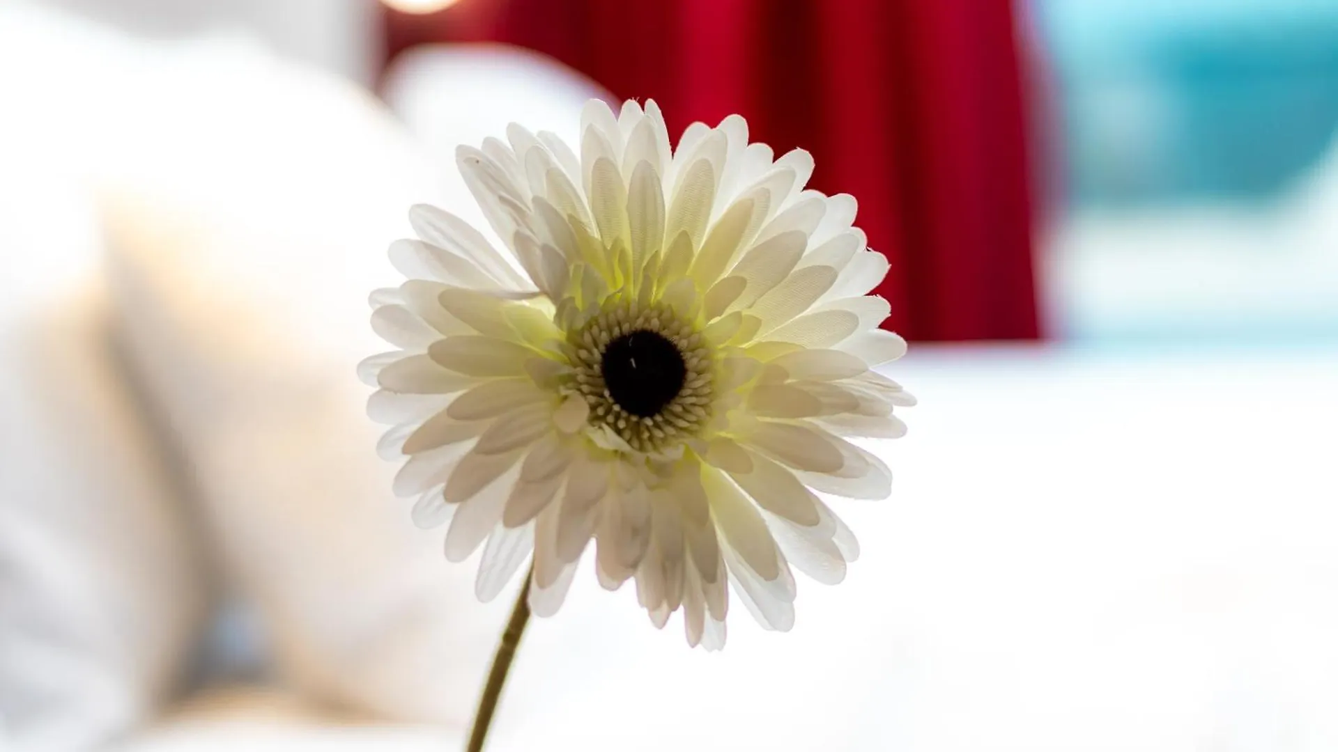 Guest house Il Panoramico Rooms Cagliari